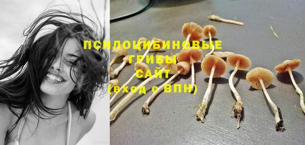 первитин Вяземский