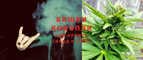 первитин Вяземский
