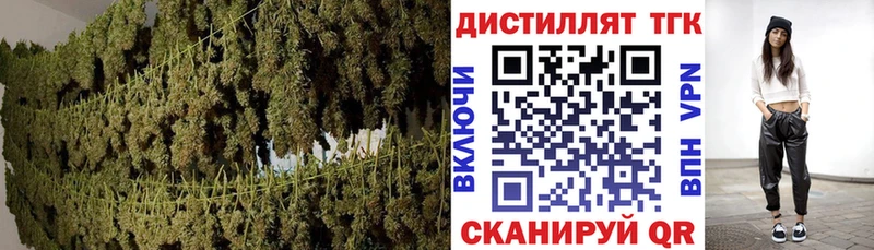 Купить где  Партизанск  Дистиллят ТГК концентрат 