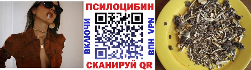 Псилоцибиновые грибы Magic Shrooms  Купить закладки  Партизанск 