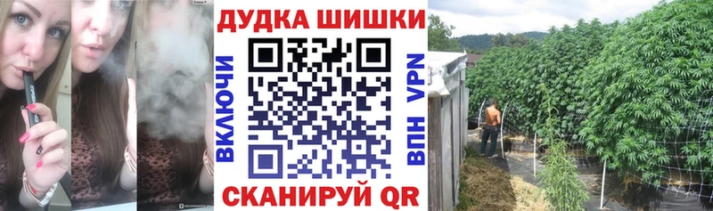 Купить где  Партизанск  Бошки Шишки план 